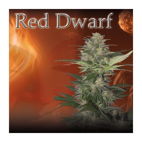 Red Dwarf (5uni)