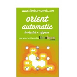 Orient Automatic