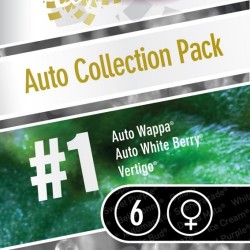 Auto Collection Pack Nº1