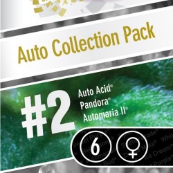 Auto Collection Pack Nº2