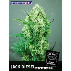 Jack Diesel express