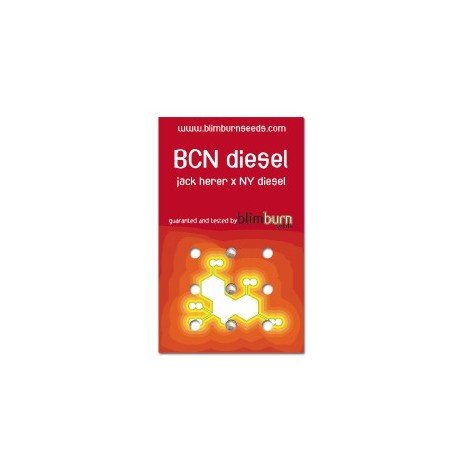 BCN Diesel (3uni)