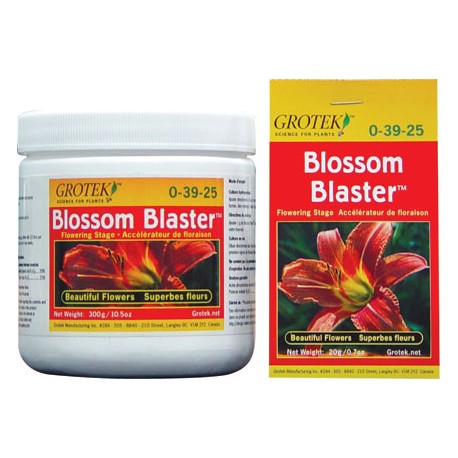 Blossom Blaster GROTEK Doctor Cogollo