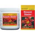 Blossom Blaster GROTEK