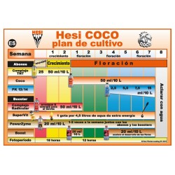 Tabla de Cultivo Coco HESI - Doctor Cogollo