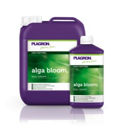 Alga Bloom (Floración) PLAGARON - Doctor Cogollo