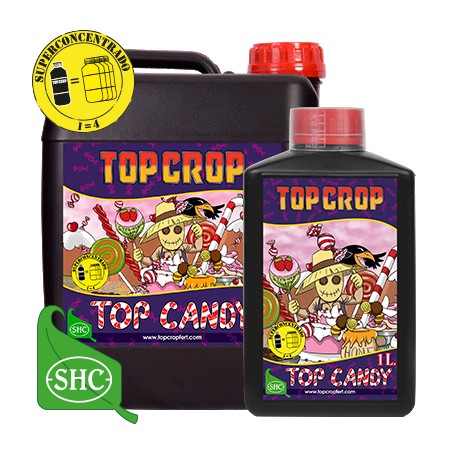 Top Candy TOP CROP - Doctor Cogollo