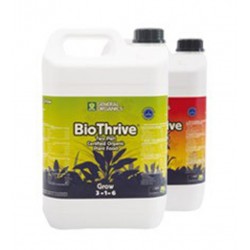 BioThrive Bloom GHE