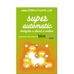 Super automatic (3uni)