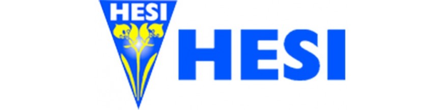 Hesi