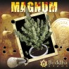 Magnum